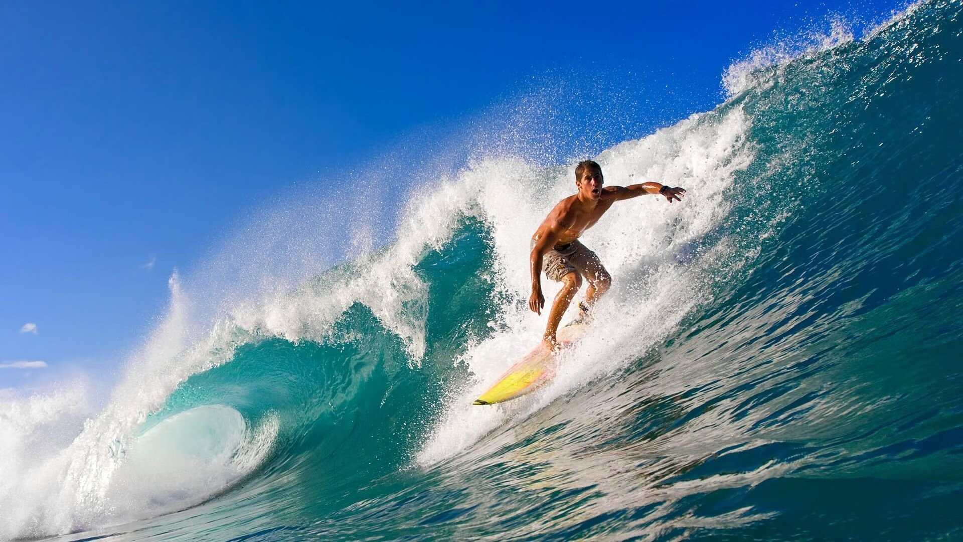 御风而行：风洞测试与空气动力学的奥秘，空气动力实验风洞分为